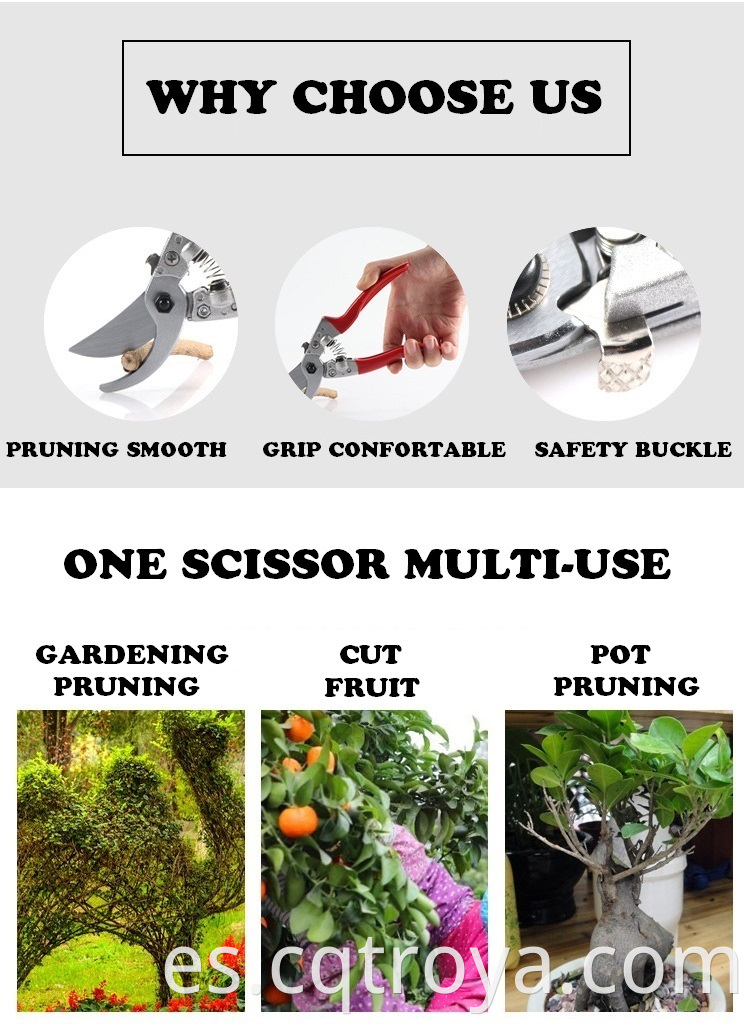 Garden Fruit Tree Nursery Pro Pruning Shears Scissor Grafting Cutting Clamp Set Grafting Tool22